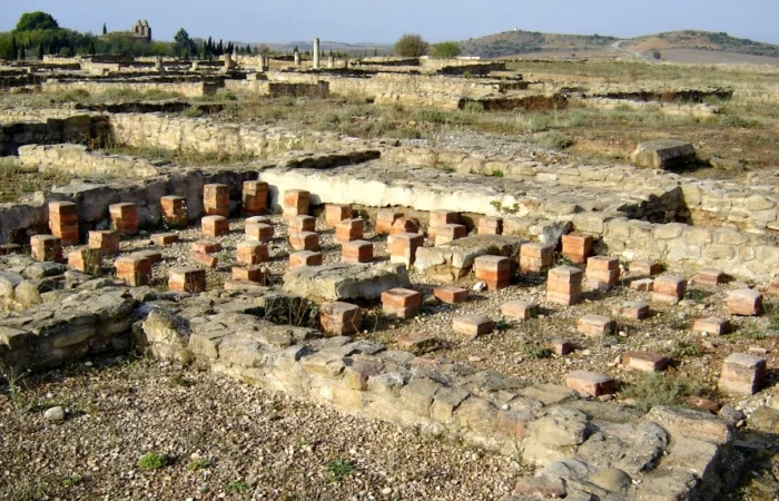 Ruinas_romanas_de_Andelos_termas_Mendigorria_Navarra (Copiar)