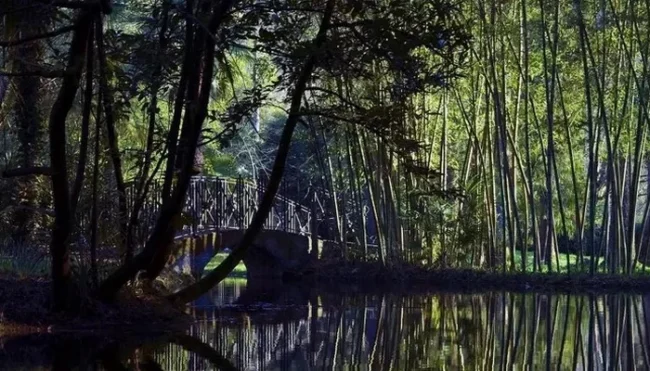 Señorio de bertiz img