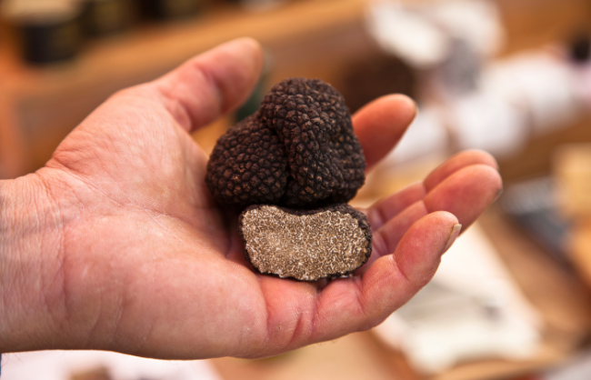 Museo de la Trufa en Metauten